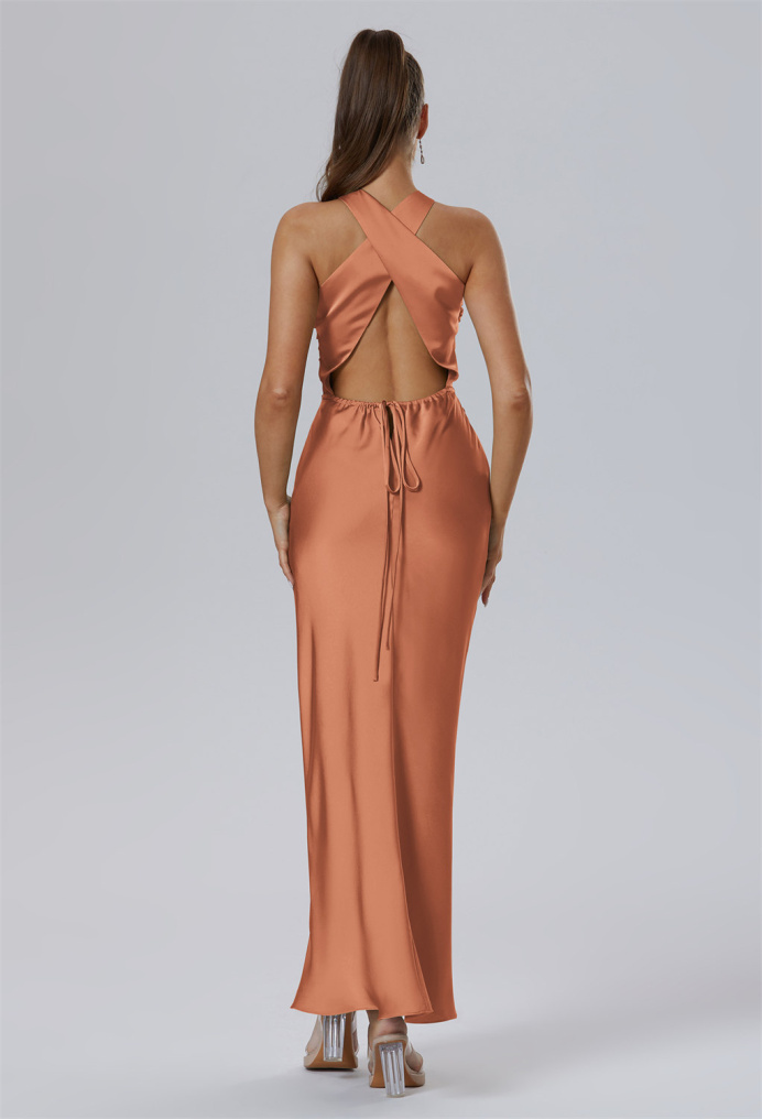 AW Teigne Dress